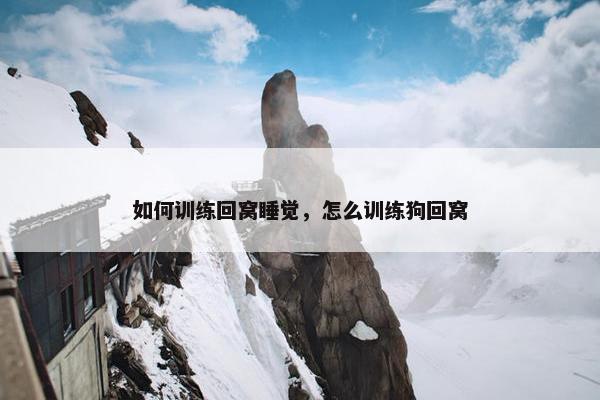 如何训练回窝睡觉，怎么训练狗回窝