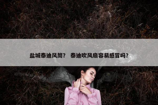 盐城泰迪风筒？ 泰迪吹风扇容易感冒吗？