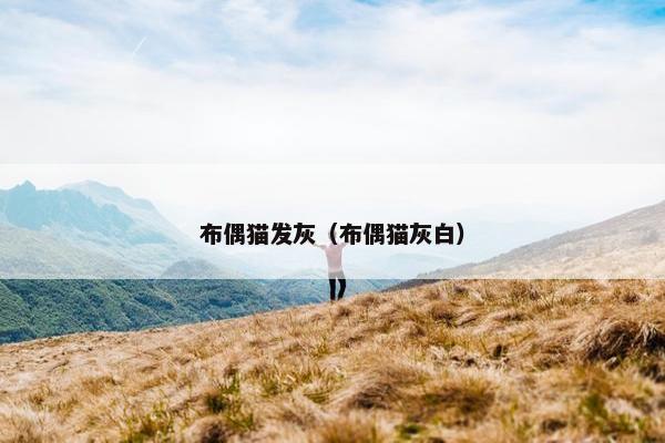 布偶猫发灰（布偶猫灰白）