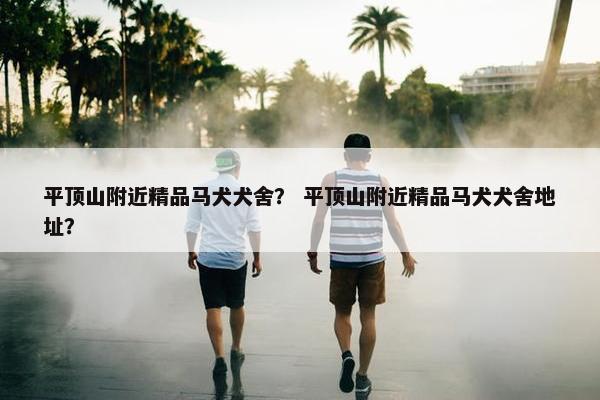 平顶山附近精品马犬犬舍？ 平顶山附近精品马犬犬舍地址？