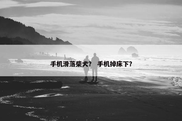 手机滑落柴犬？ 手机掉床下？