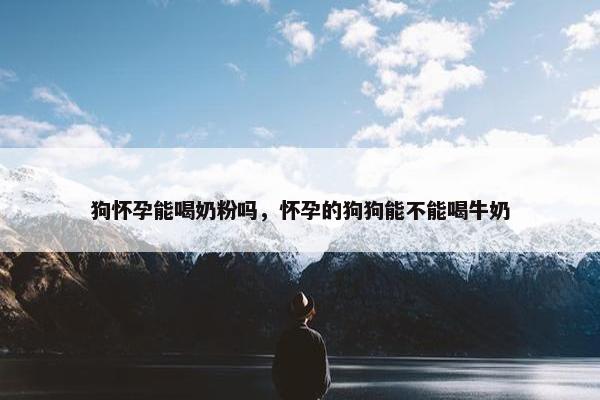 狗怀孕能喝奶粉吗，怀孕的狗狗能不能喝牛奶