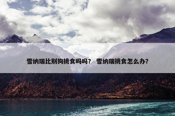 雪纳瑞比别狗挑食吗吗？ 雪纳瑞挑食怎么办？