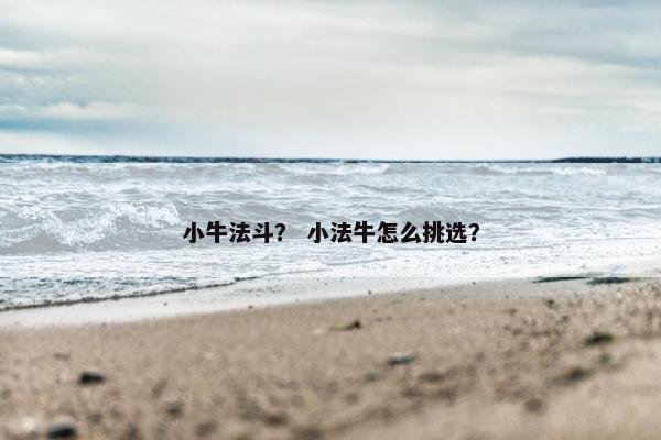 小牛法斗？ 小法牛怎么挑选？