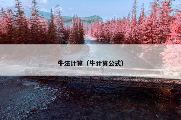 牛法计算（牛计算公式）