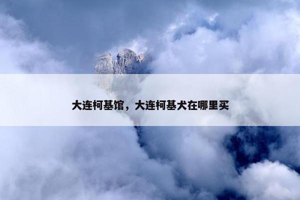 大连柯基馆，大连柯基犬在哪里买