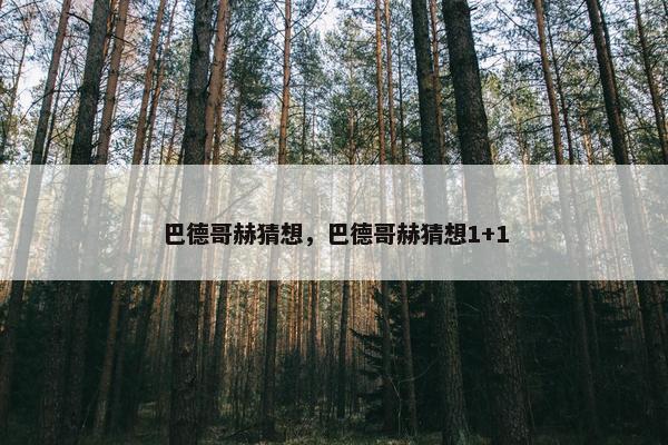 巴德哥赫猜想，巴德哥赫猜想1+1
