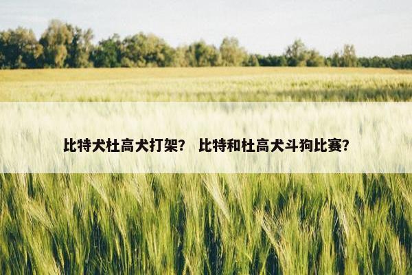 比特犬杜高犬打架？ 比特和杜高犬斗狗比赛？