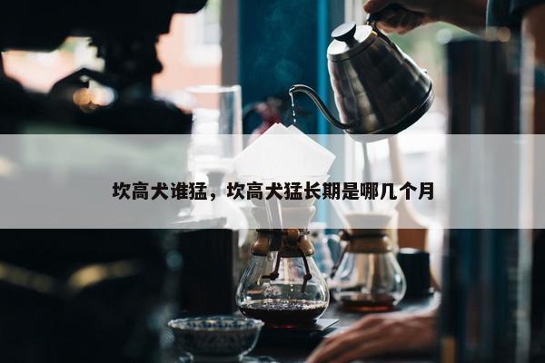 坎高犬谁猛，坎高犬猛长期是哪几个月