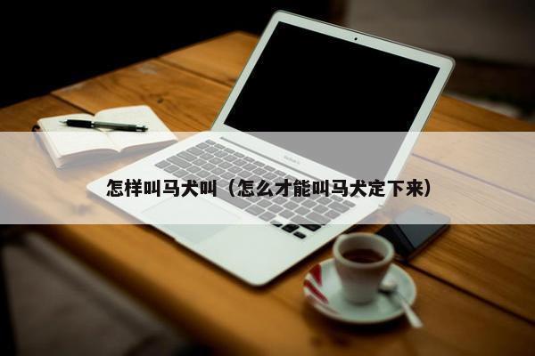 怎样叫马犬叫（怎么才能叫马犬定下来）