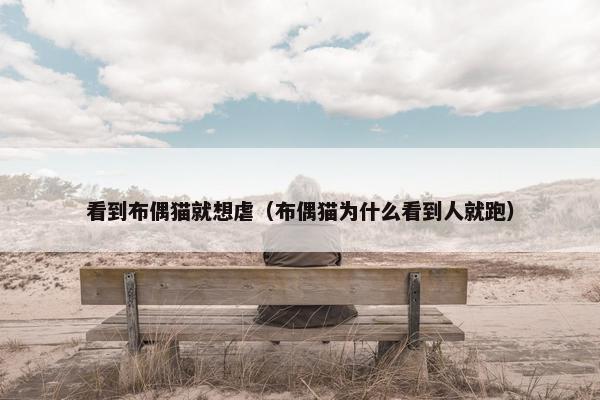 看到布偶猫就想虐（布偶猫为什么看到人就跑）