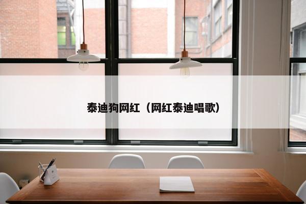 泰迪狗网红（网红泰迪唱歌）