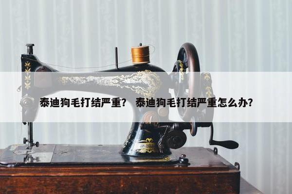 泰迪狗毛打结严重？ 泰迪狗毛打结严重怎么办？