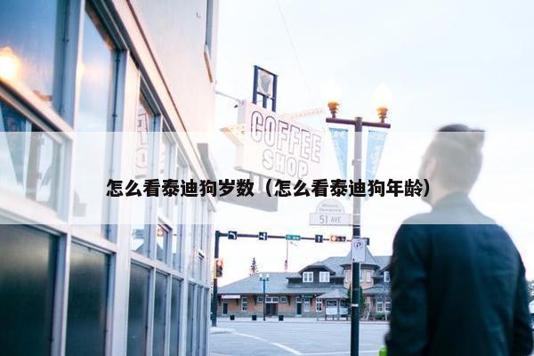 怎么看泰迪狗岁数（怎么看泰迪狗年龄）