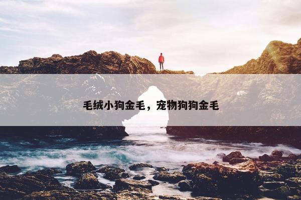 毛绒小狗金毛，宠物狗狗金毛