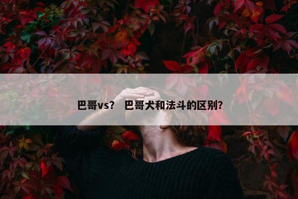 巴哥vs？ 巴哥犬和法斗的区别？
