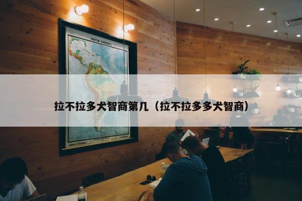 拉不拉多犬智商第几（拉不拉多多犬智商）