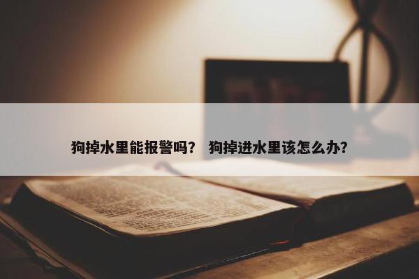 狗掉水里能报警吗？ 狗掉进水里该怎么办？