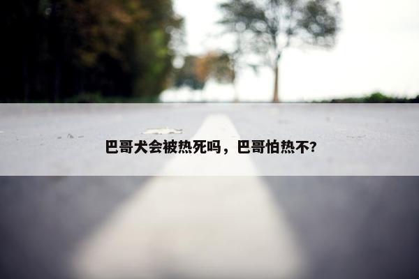 巴哥犬会被热死吗，巴哥怕热不?