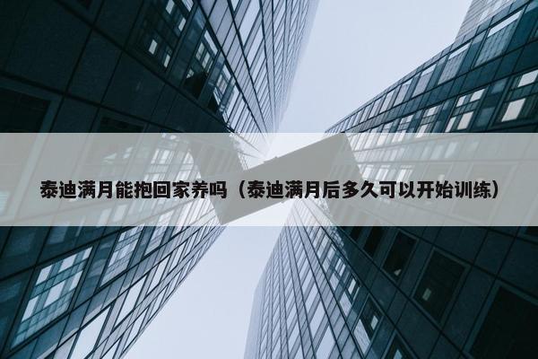 泰迪满月能抱回家养吗（泰迪满月后多久可以开始训练）