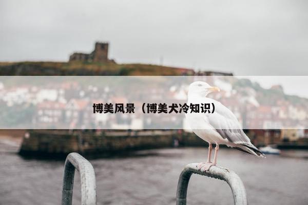 博美风景（博美犬冷知识）