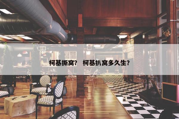 柯基撕窝？ 柯基扒窝多久生？