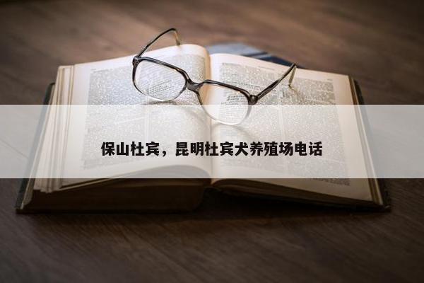 保山杜宾，昆明杜宾犬养殖场电话