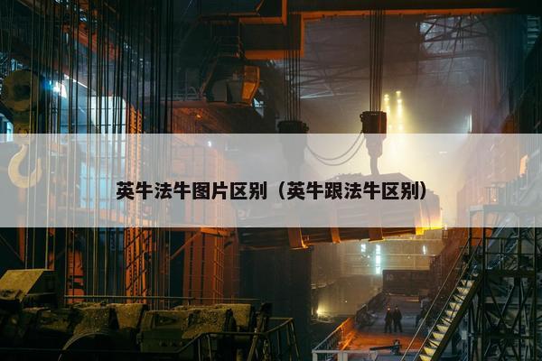 英牛法牛图片区别（英牛跟法牛区别）