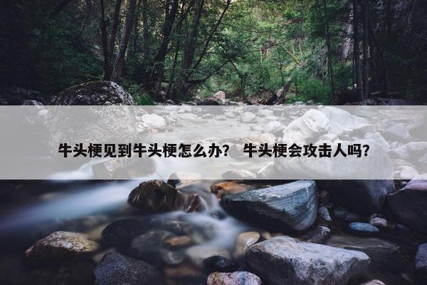 牛头梗见到牛头梗怎么办？ 牛头梗会攻击人吗？