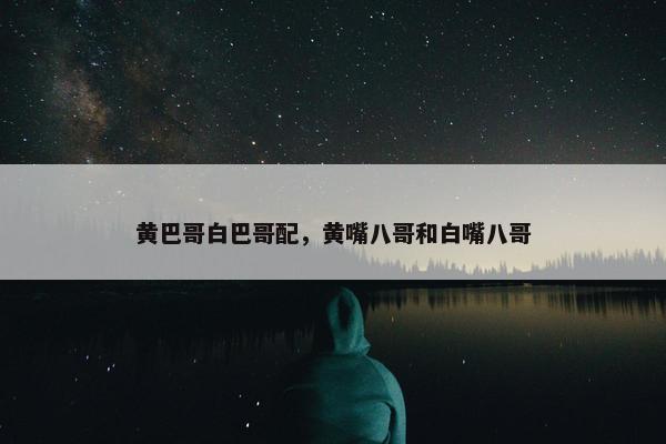 黄巴哥白巴哥配，黄嘴八哥和白嘴八哥