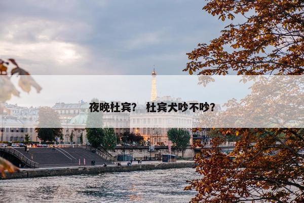 夜晚杜宾？ 杜宾犬吵不吵？