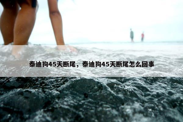 泰迪狗45天断尾，泰迪狗45天断尾怎么回事