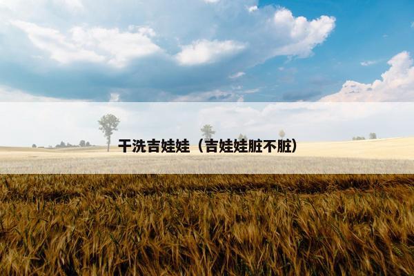 干洗吉娃娃（吉娃娃脏不脏）