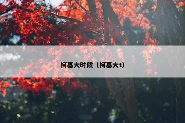 柯基大时候（柯基大t）