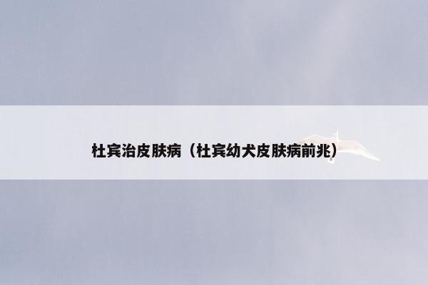 杜宾治皮肤病（杜宾幼犬皮肤病前兆）