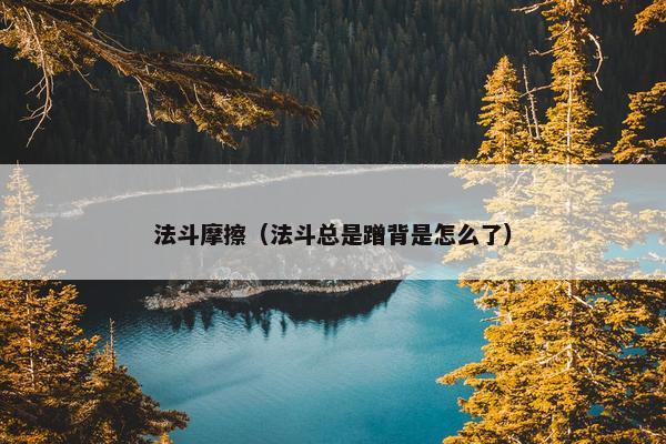 法斗摩擦（法斗总是蹭背是怎么了）
