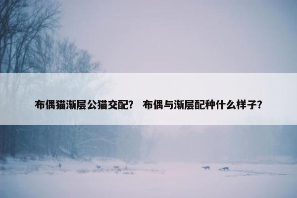布偶猫渐层公猫交配？ 布偶与渐层配种什么样子？