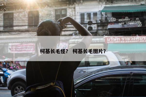 柯基长毛怪？ 柯基长毛图片？