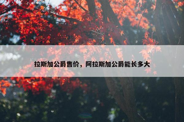拉斯加公爵售价，阿拉斯加公爵能长多大