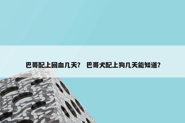 巴哥配上回血几天？ 巴哥犬配上狗几天能知道？