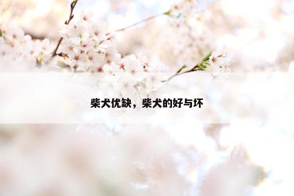柴犬优缺，柴犬的好与坏