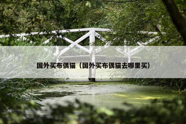 国外买布偶猫（国外买布偶猫去哪里买）