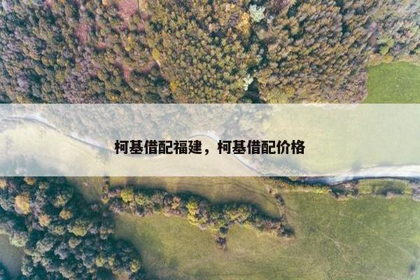 柯基借配福建，柯基借配价格