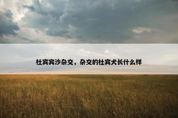 杜宾宾沙杂交，杂交的杜宾犬长什么样