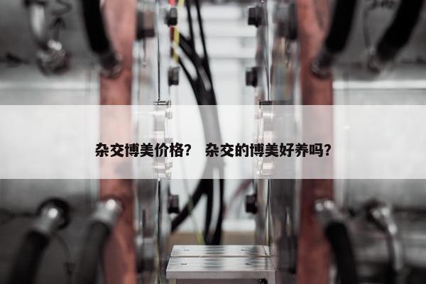 杂交博美价格？ 杂交的博美好养吗？