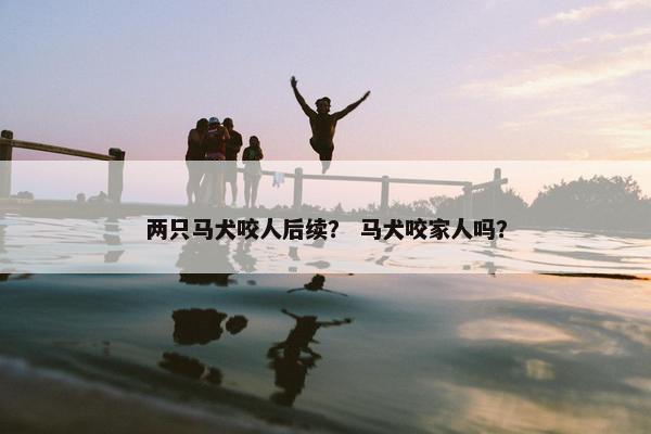 两只马犬咬人后续？ 马犬咬家人吗？