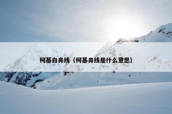 柯基白鼻线（柯基鼻线是什么意思）