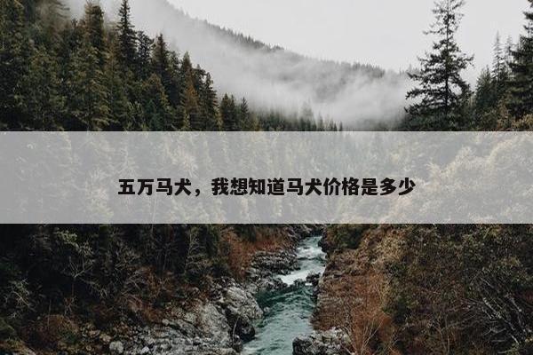 五万马犬，我想知道马犬价格是多少