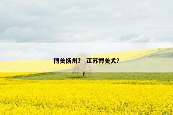 博美扬州？ 江苏博美犬？