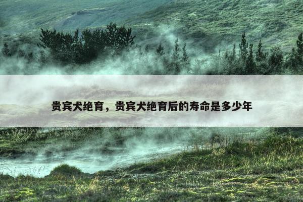 贵宾犬绝育，贵宾犬绝育后的寿命是多少年